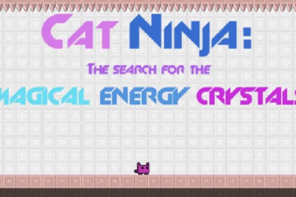 cat ninja